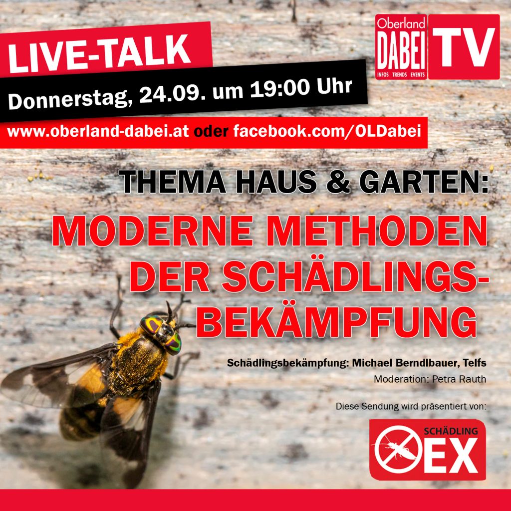 LiveTalk Oberland DABEI